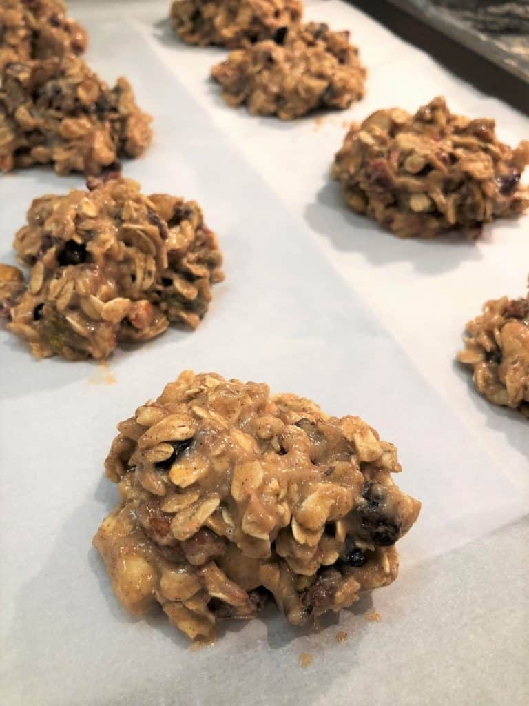 Gluten Free Oatmeal Breakfast Cookies | Gluten Free by Jan